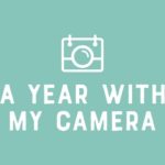 A year with my camera logo green